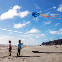 Kaiciuss four-pack octopus kites offering color variety for shared family outings
