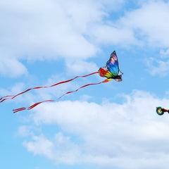 Kaiciuss kite designed for wind range around 5-20 mph for stable flights