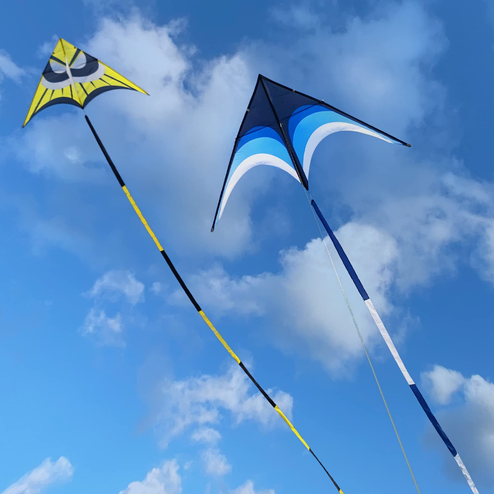 Kaiciuss delta kite tail 30m blue trailing behind during flight