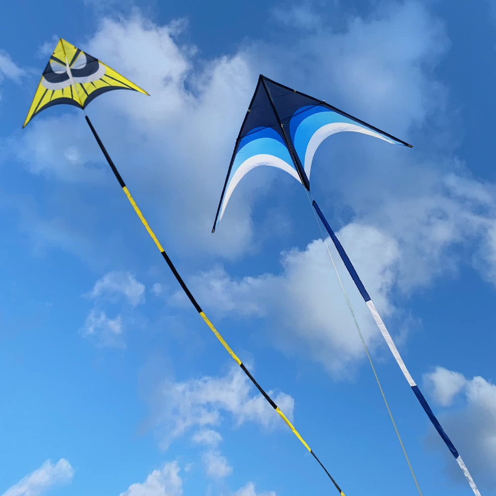 Kaiciuss delta kite tail 30m blue trailing behind during flight