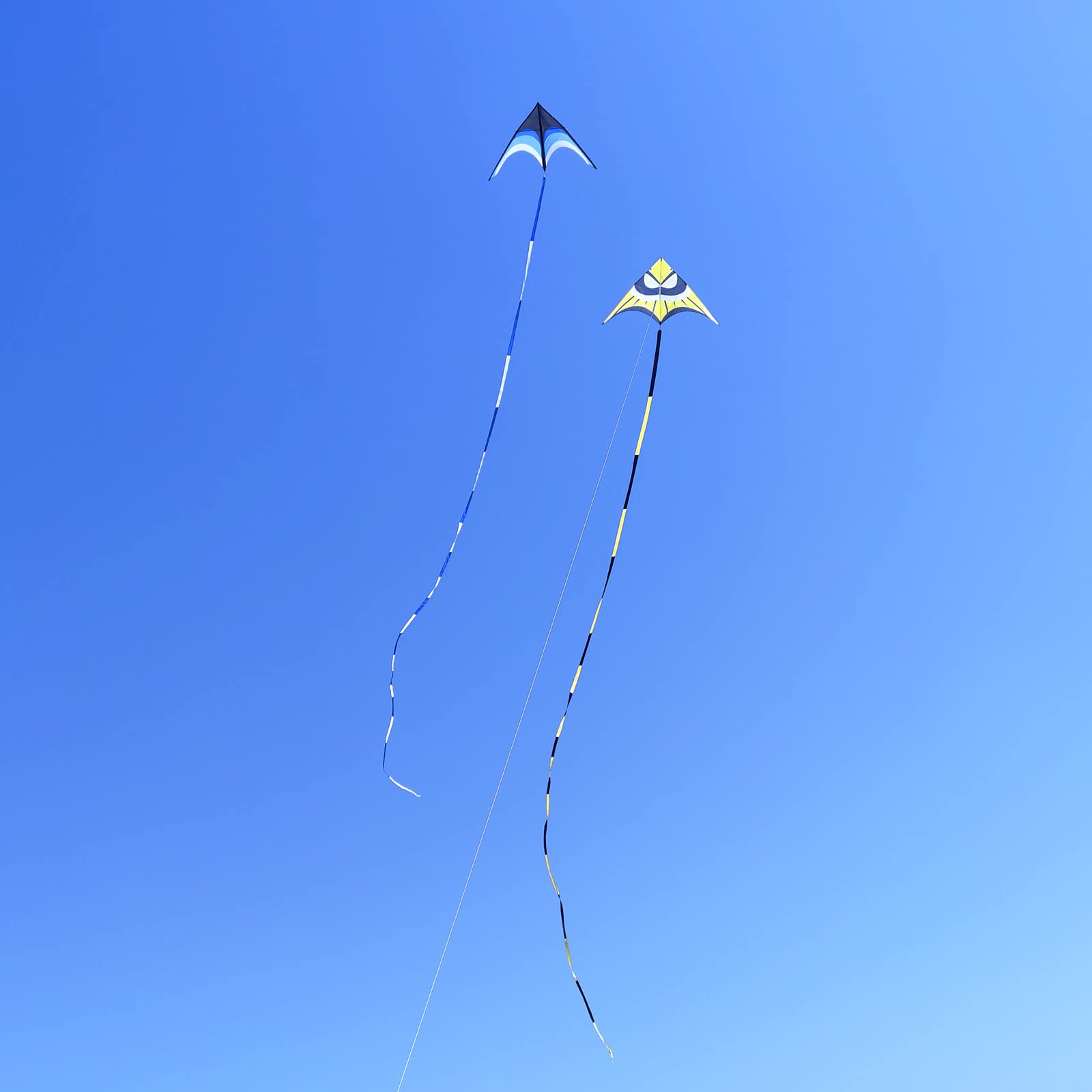 Kaiciuss kite in flight against blue sky with high visibility