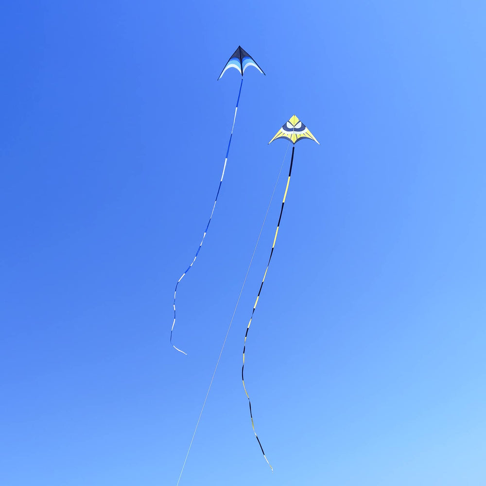 Kaiciuss kite in flight against blue sky with high visibility