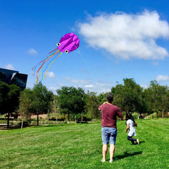 Kaiciuss octopus kite by the seaside evokes playful motion in wind