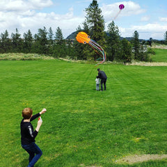 Kaiciuss octopus kite dancing in air with graceful sways and easy takeoff