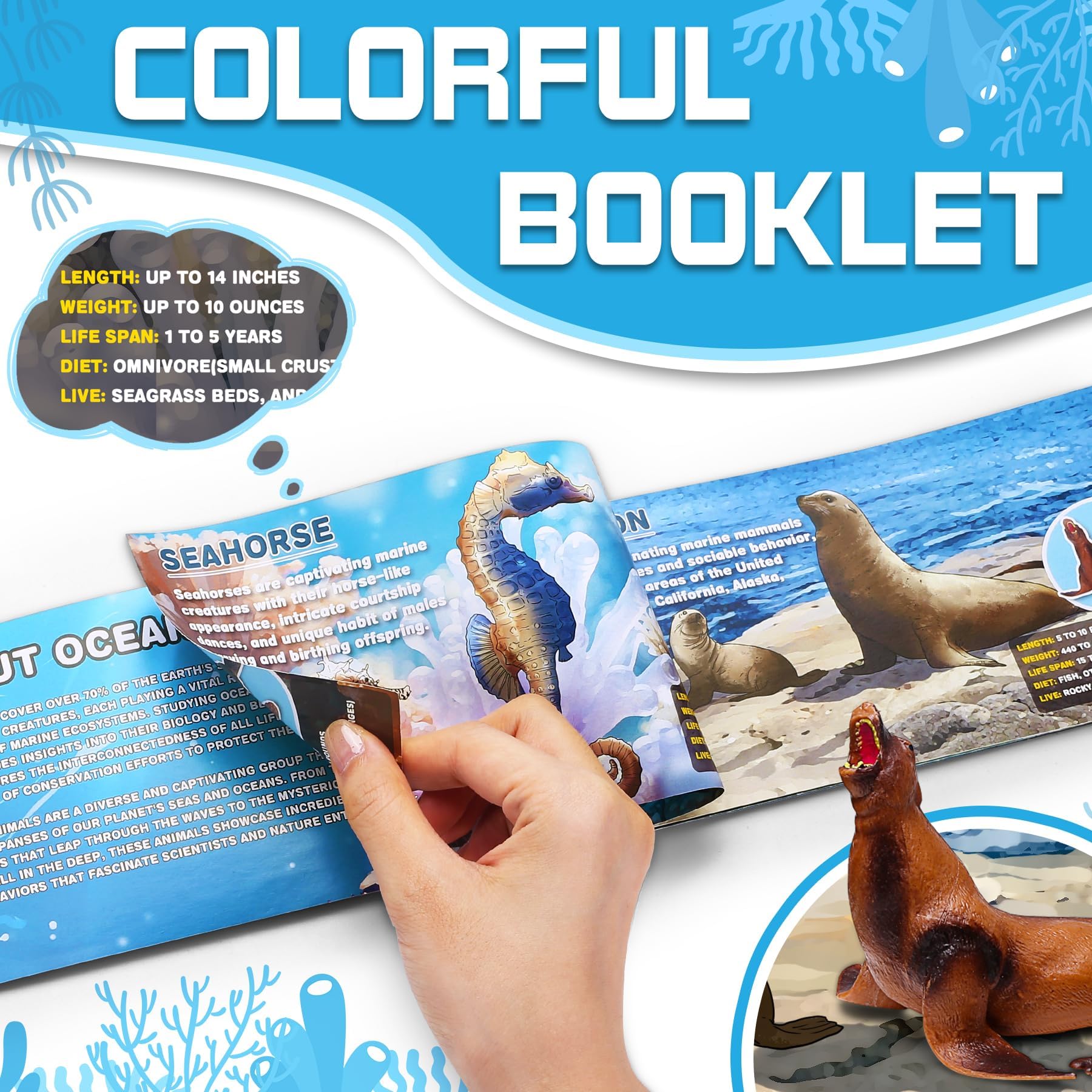 KarberDark lobster figure, durable for water table and beach play.