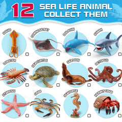 KarberDark starfish figure, bright among seashells for sensory exploration.