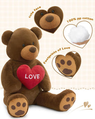 Karister Valentines teddy bear gift idea with heart