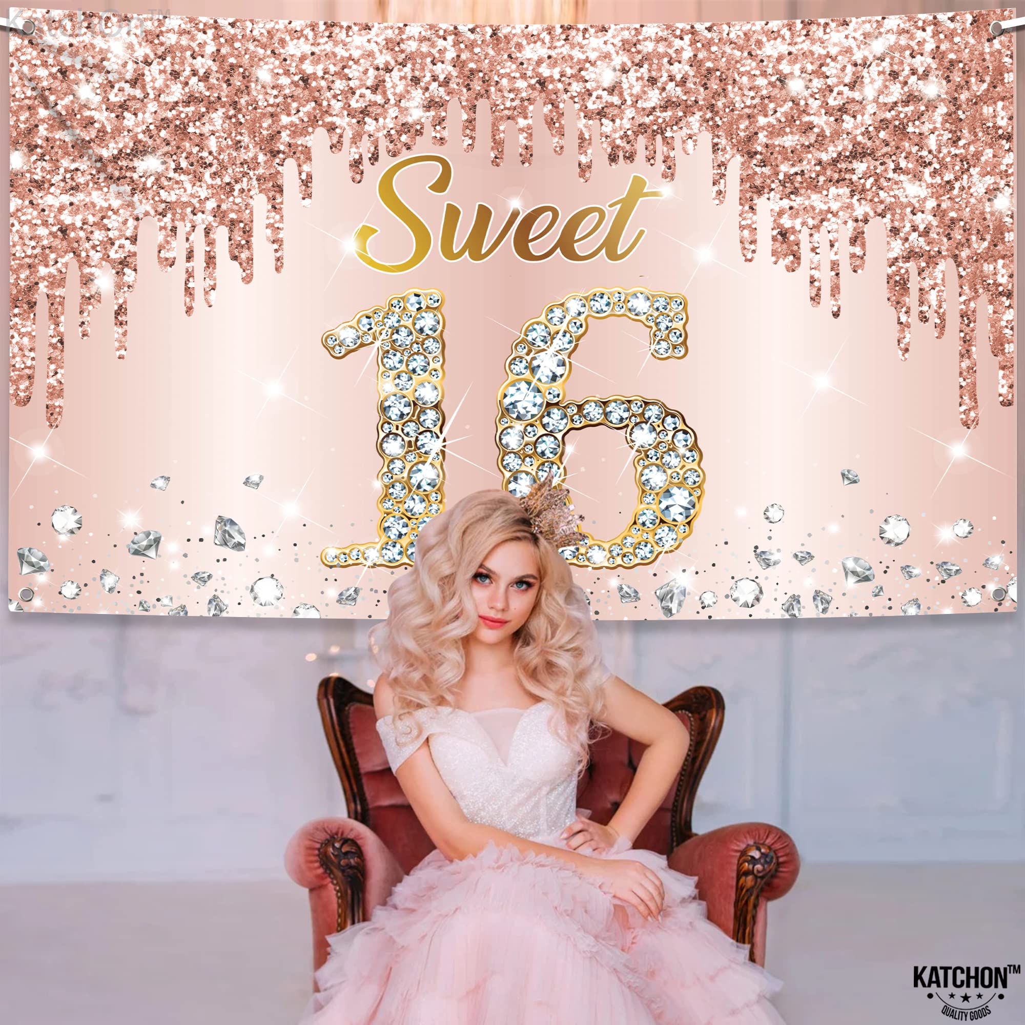 KatchOn sweet 16 banner provides a versatile backdrop for indoor events.