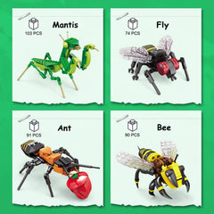 KAZI housefly building model for realistic insect exploration.