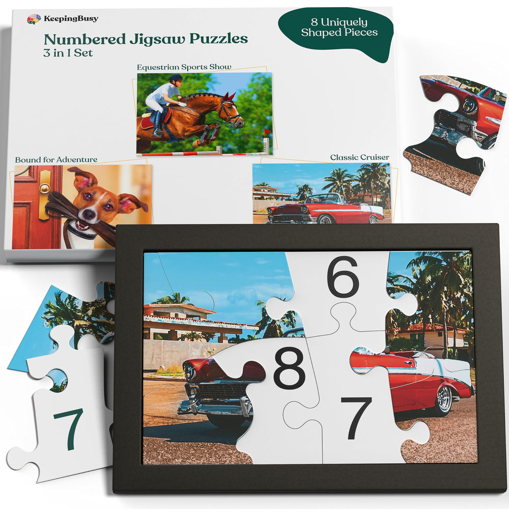Keeping Busy numbered 3-pack large-piece puzzle set; easy handling for seniors.
