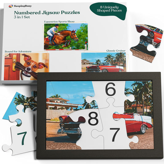 Keeping Busy numbered 3-pack large-piece puzzle set; easy handling for seniors.