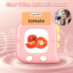 Kidzdo animal sounds accompanying word cards