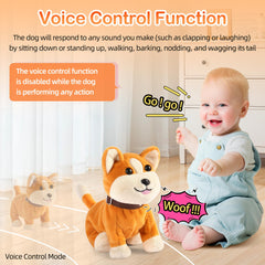 Kindenwinn plush toy head responds to touch with voice command interactions.