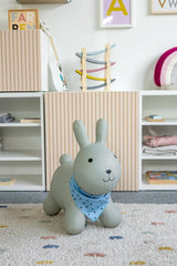 Kindsgut Bouncy Rabbit Hopper German design blends function and style