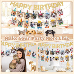 KingZone banner shows vibrant colors for a cat-themed celebration