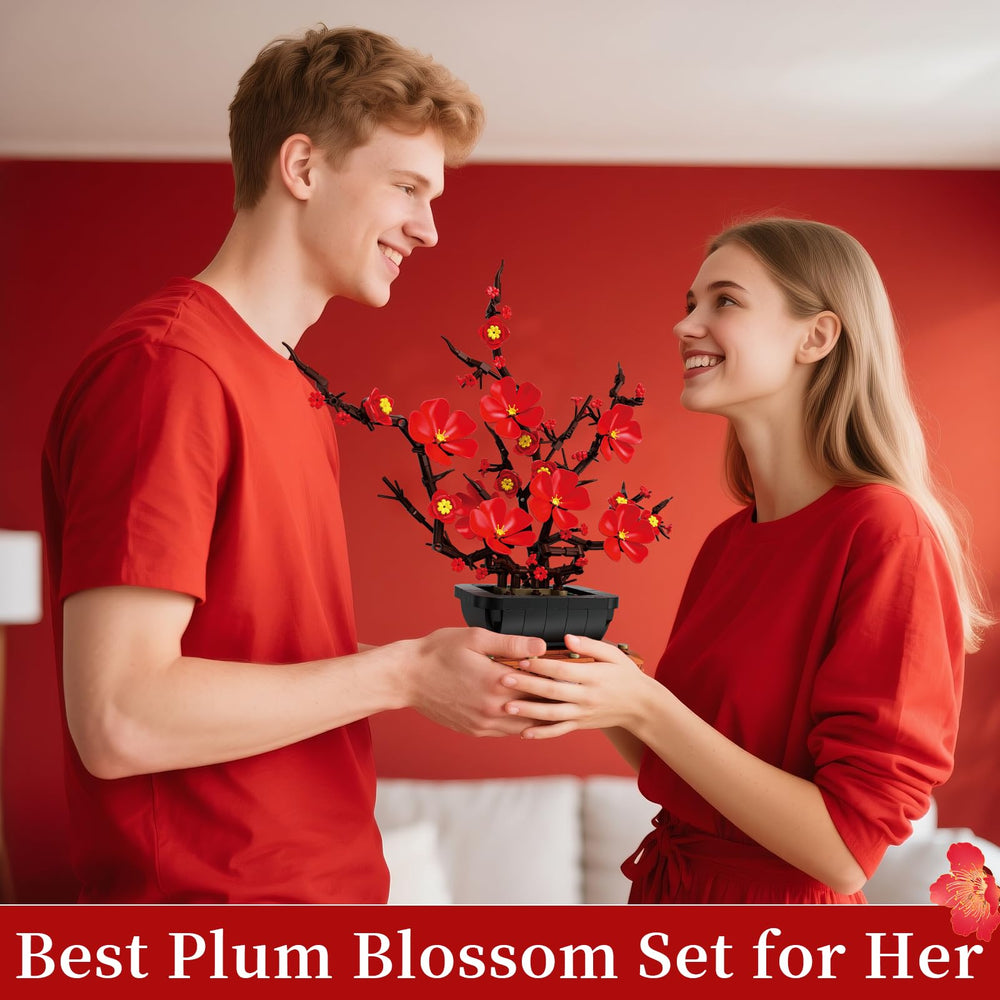 Kiothdre Plum Blossom kit invites relaxing building for home or office decor
