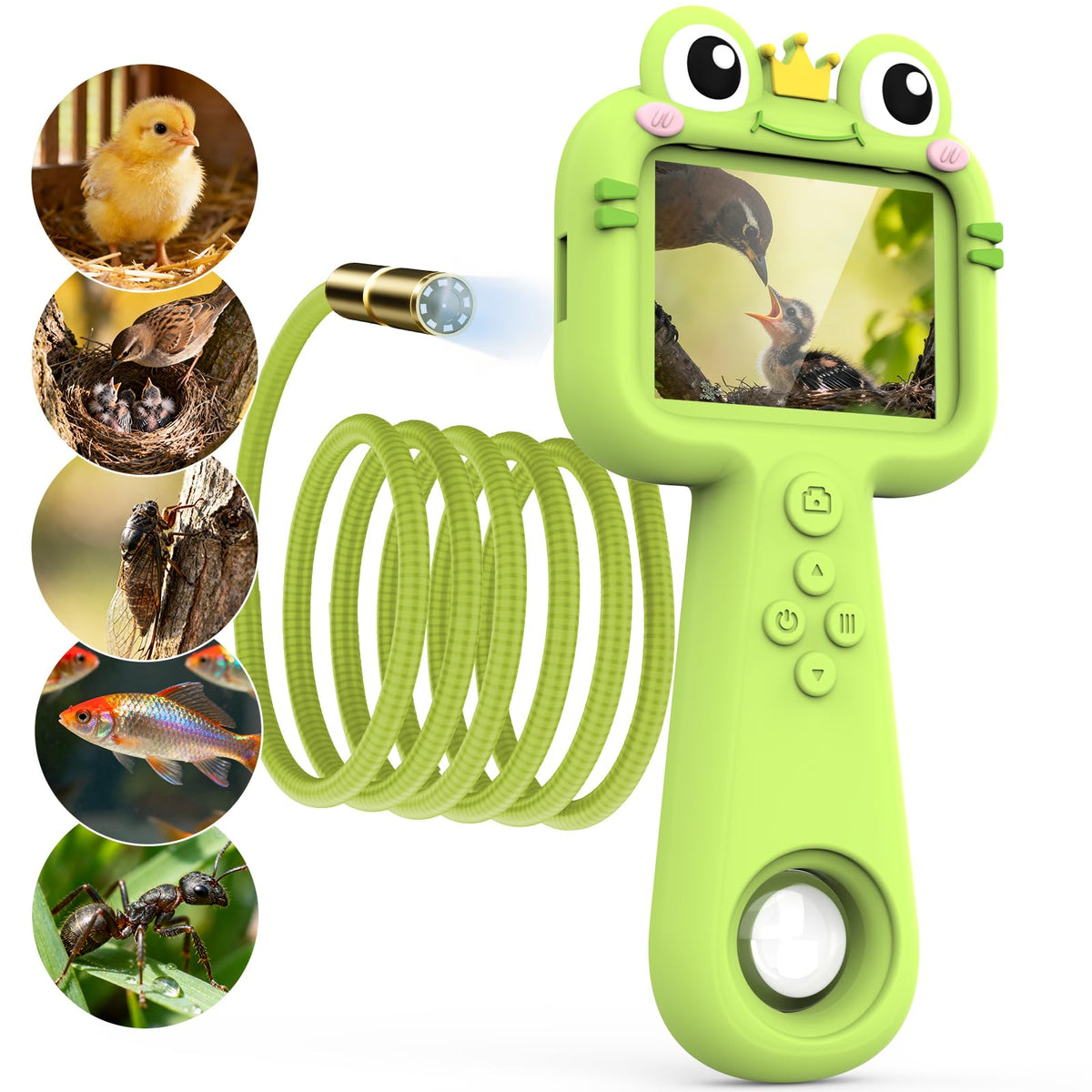 Kiscamgear endoscope camera with light reveals tiny insects along the 40.5-inch snake tube.