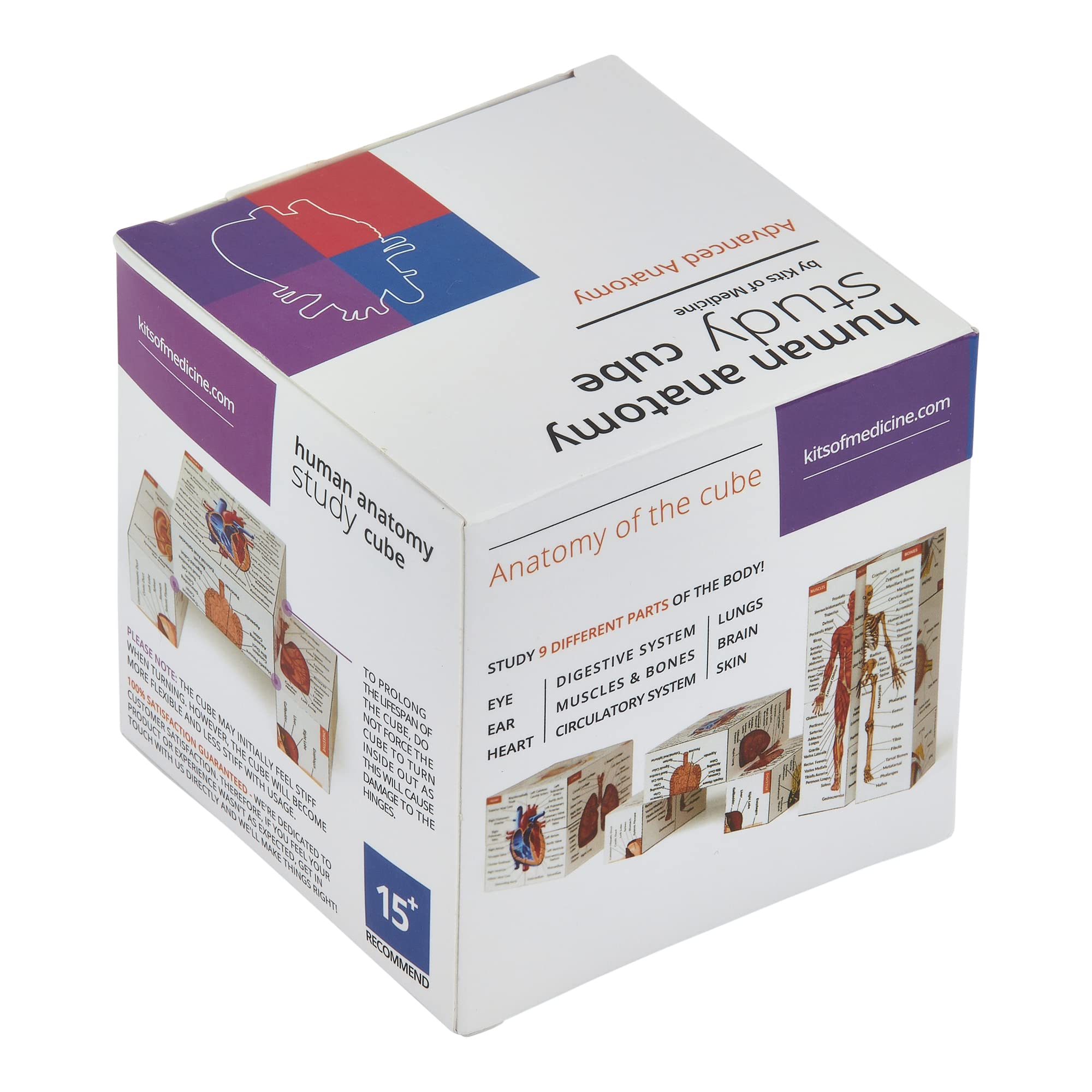 Kits of Medicine circulatory system part highlights heart and vessels.