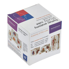 Kits of Medicine circulatory system part highlights heart and vessels.