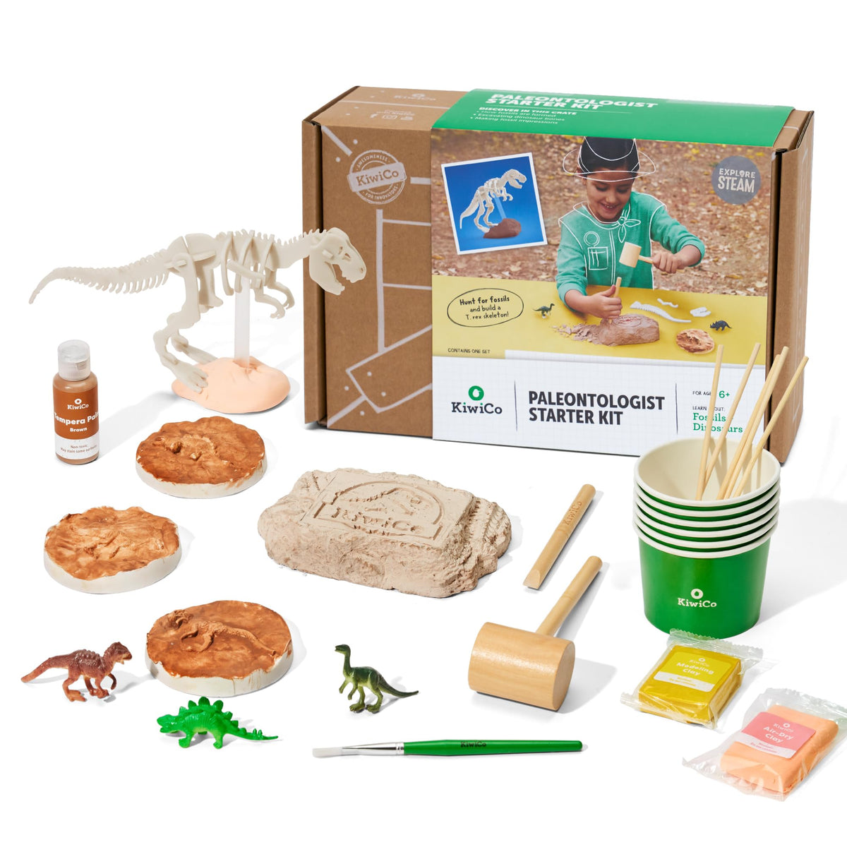 KiwiCo dinosaur dig kit tools for careful excavation and hands-on learning