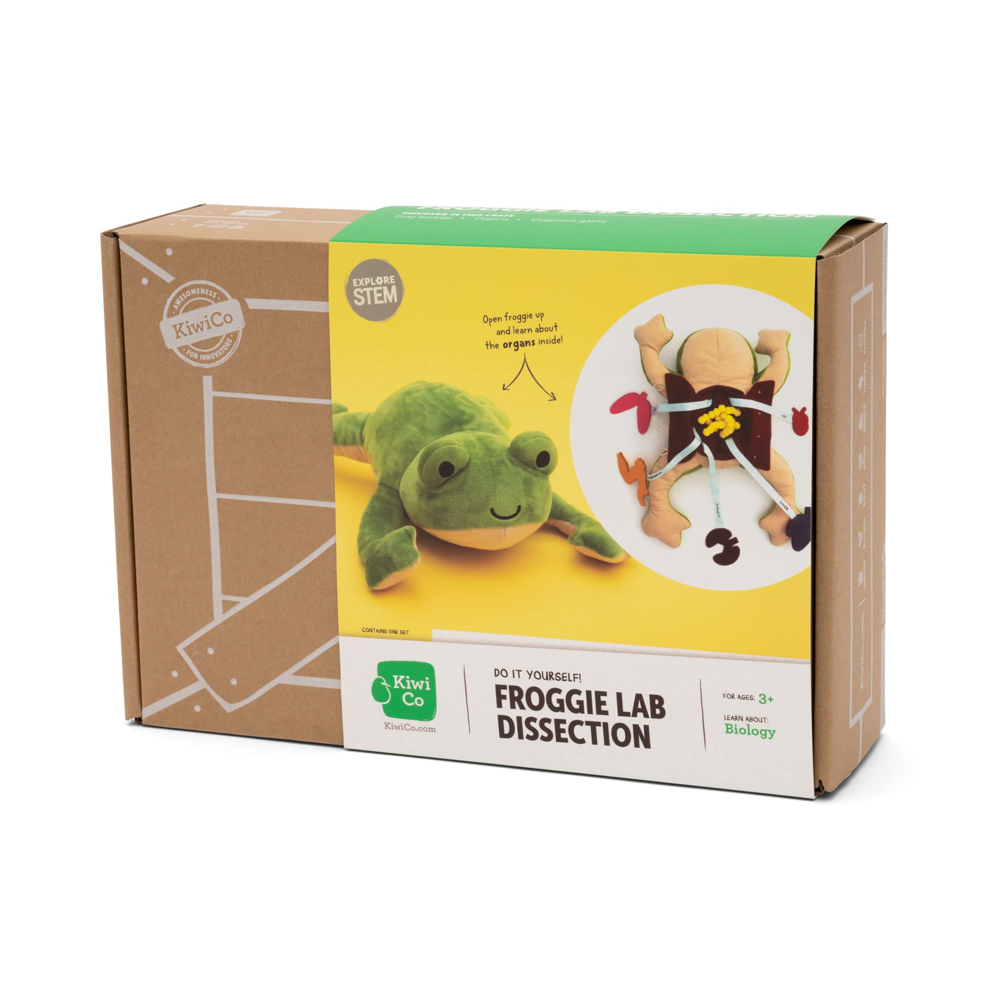 Froggie packaging with learning cards supports home or classroom use.