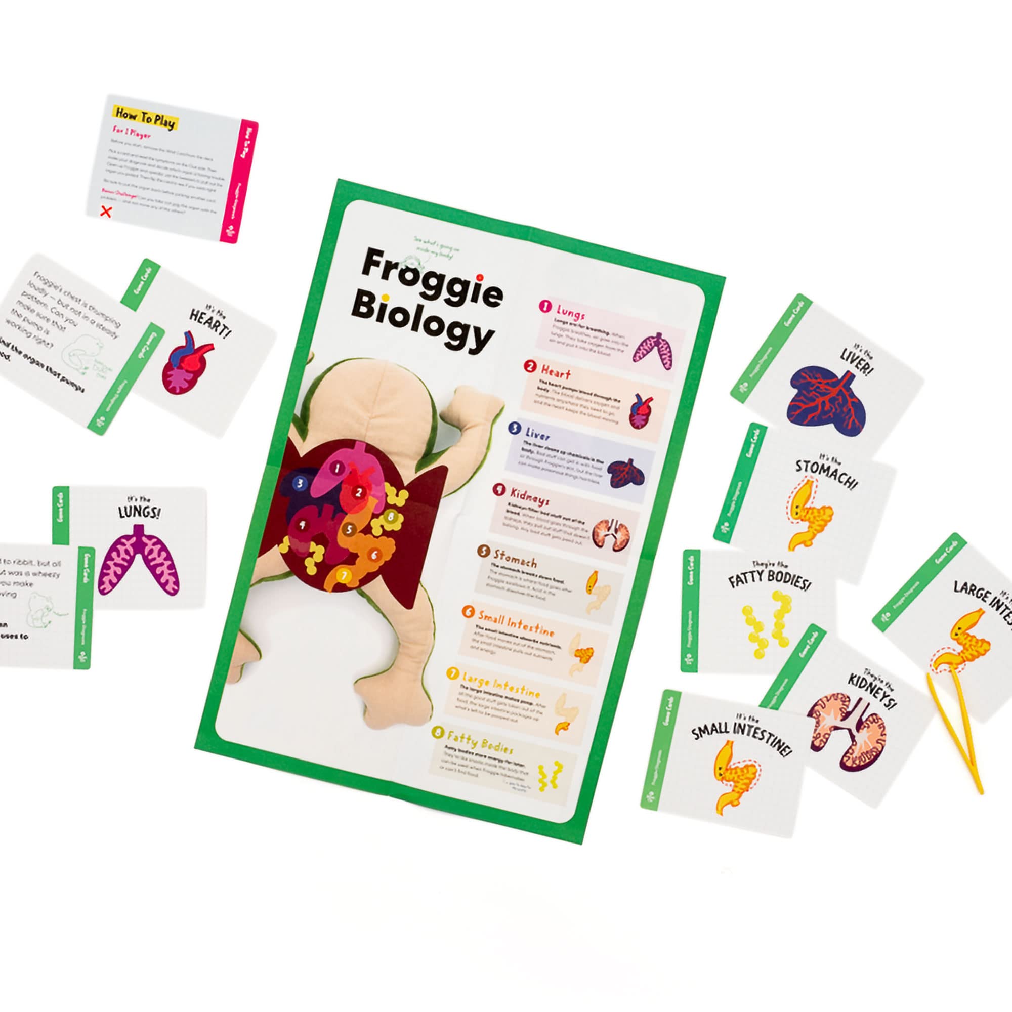 Play scene of Froggie being opened to operate and learn through play.