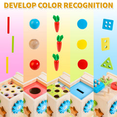 Kizfarm coin bank teaches early counting through play.