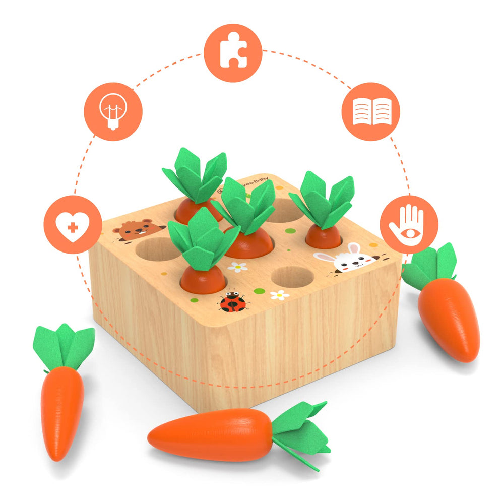 KMTJT farm scene design with worm and rabbit enhances imaginative sorting