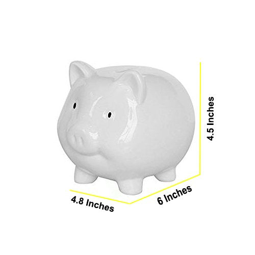 KOHIENWO boy or girl friendly design encourages saving.