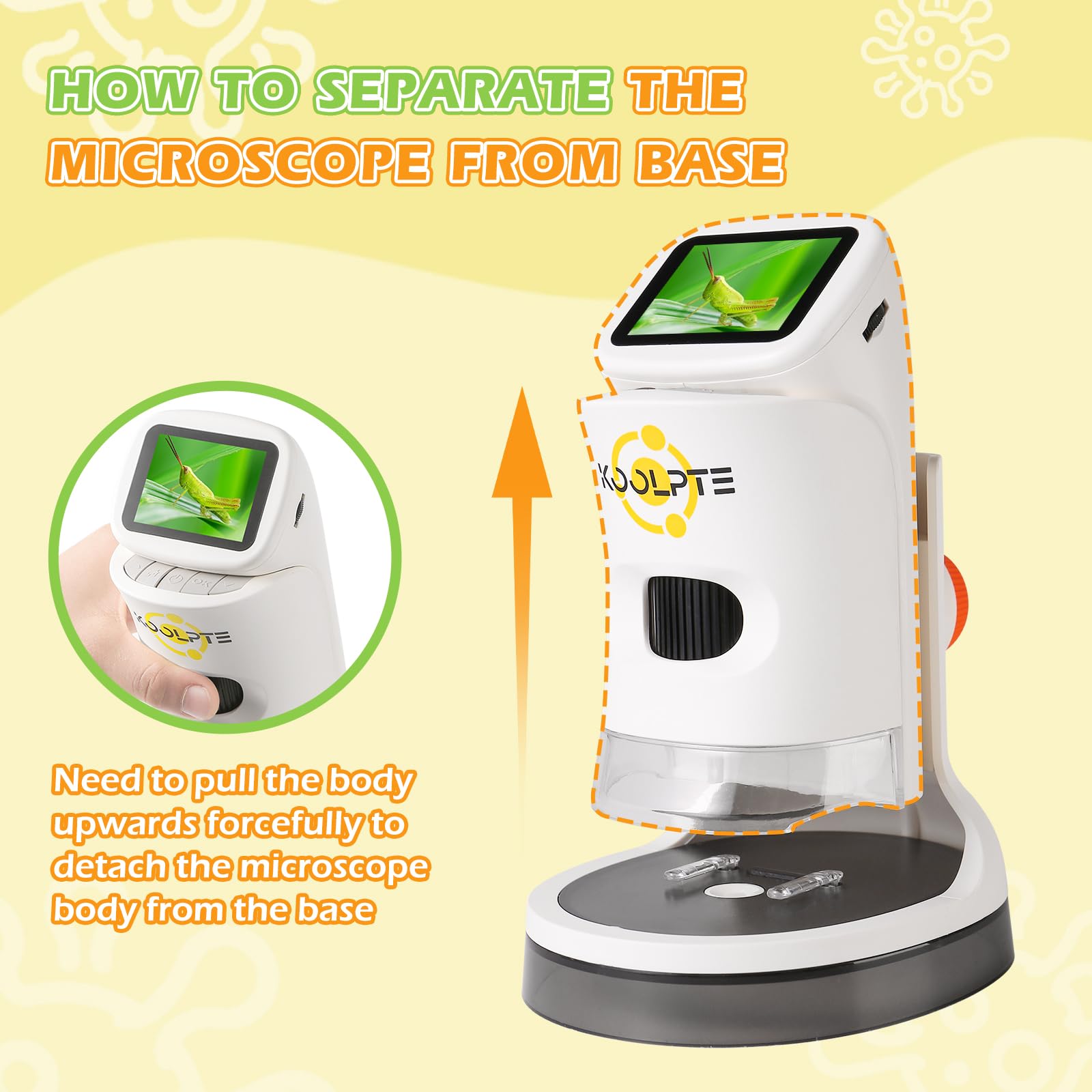 Koolpte Kids Microscope features easy focus adjustment for independent exploration