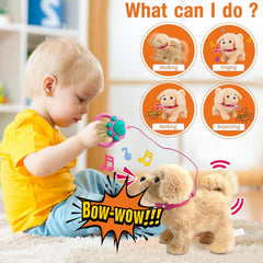 Koonie talking plush golden retriever walks with a remote for dynamic play.