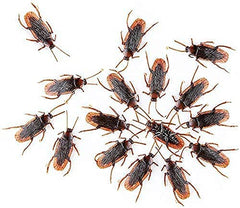 Ksquares Halloween Prank Roaches to boost spooky décor and surprises