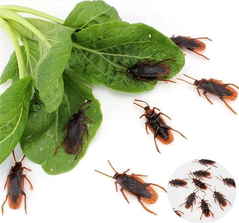 Ksquares Prank Fake Roaches party decor ideas