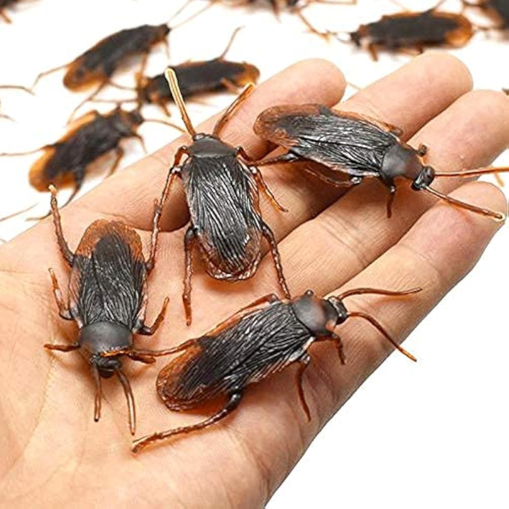 Ksquares Prank Fake Roaches realistic look for surprise pranks