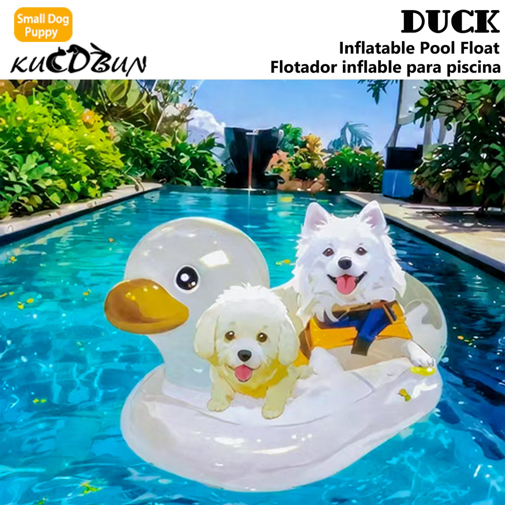 KUCDBUN family pool party scene suggests ideal setting for water fun.