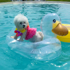 KUCDBUN flamingo coconut tree glasses brighten pool parties for pets.