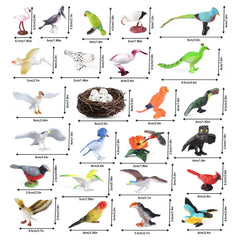 Kukifun parrot figure with vivid colors for storytelling and learning centers
