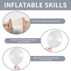 Labeol clear 10-inch balloons provide balanced texture for arches.