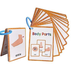 Lachilly body parts flashcards promote early vocabulary with friendly illustrations.