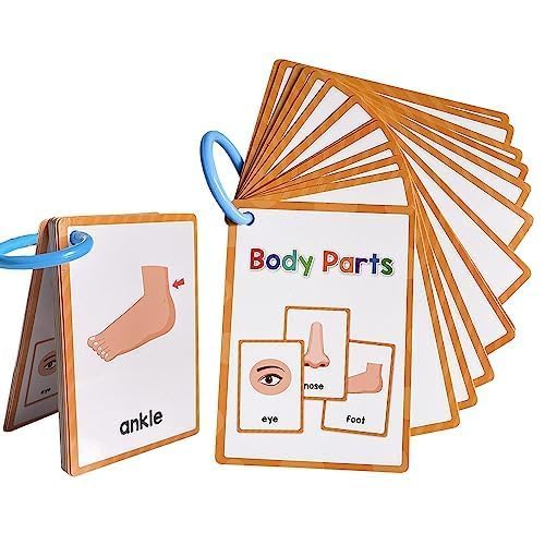 Lachilly body parts flashcards help ESL learners build basic anatomy words.