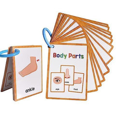 Lachilly body parts flashcards help ESL learners build basic anatomy words.