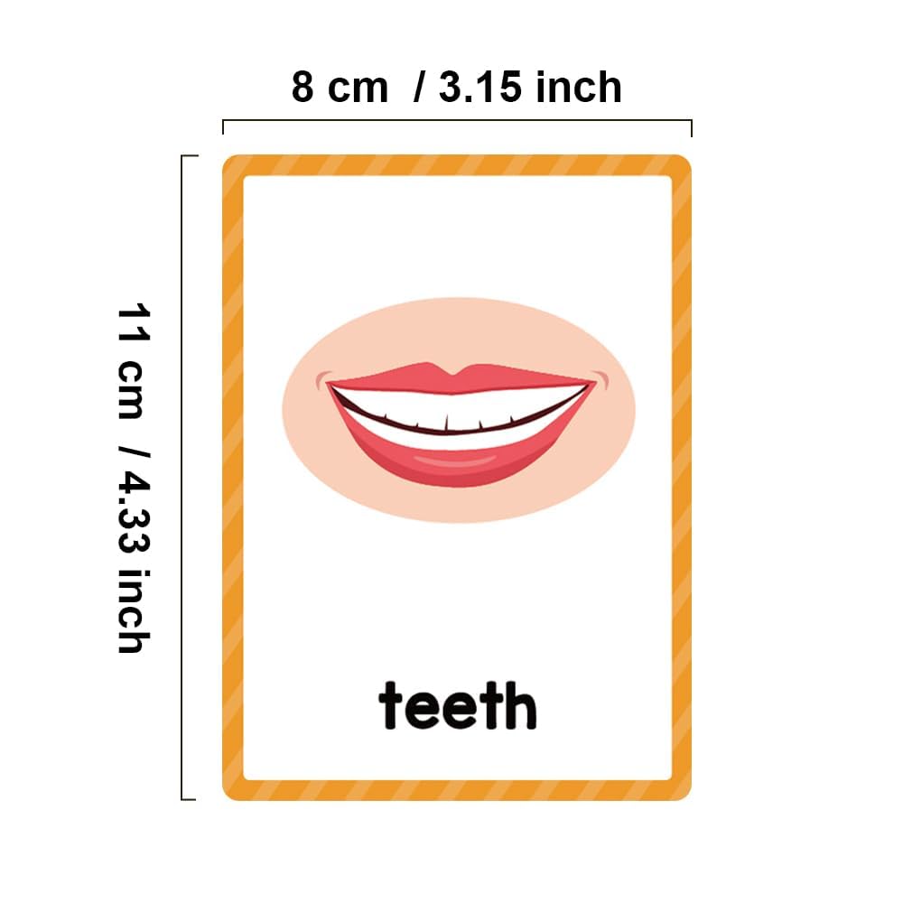 Lachilly body parts flashcards are great for small-group activities and centers.
