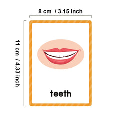 Lachilly body parts flashcards are great for small-group activities and centers.