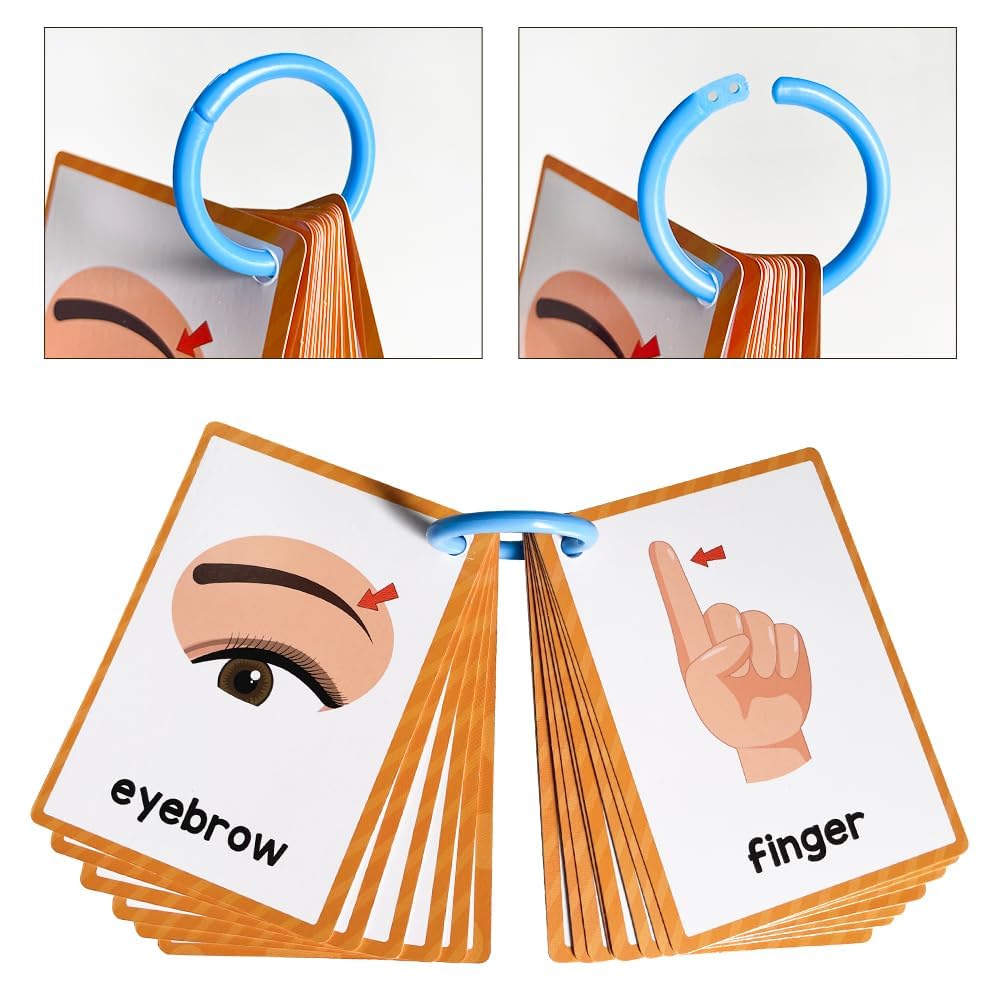 Lachilly body parts flashcards support home practice with high-frequency terms.