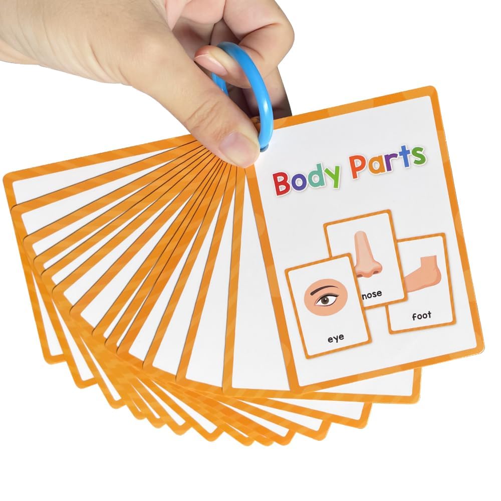 Lachilly body parts flashcards aid quick recall during reading practice.