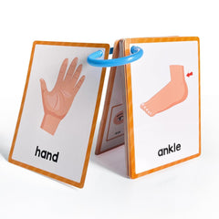 Lachilly body parts flashcards with cartoons support memory retention.
