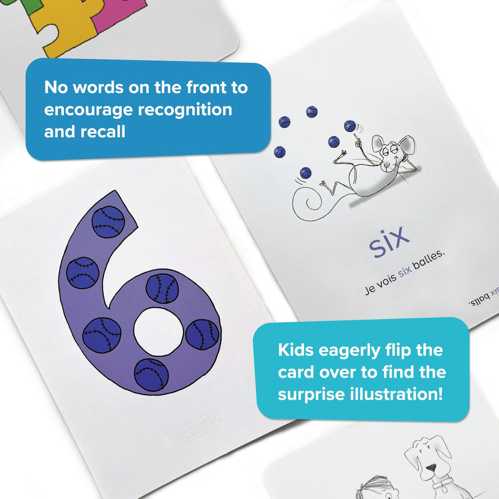 Language Together front-only pictures encourage quick recognition and recall.