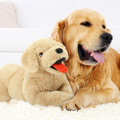 Lanmore decor for nursery or living room adds warmth to the space.