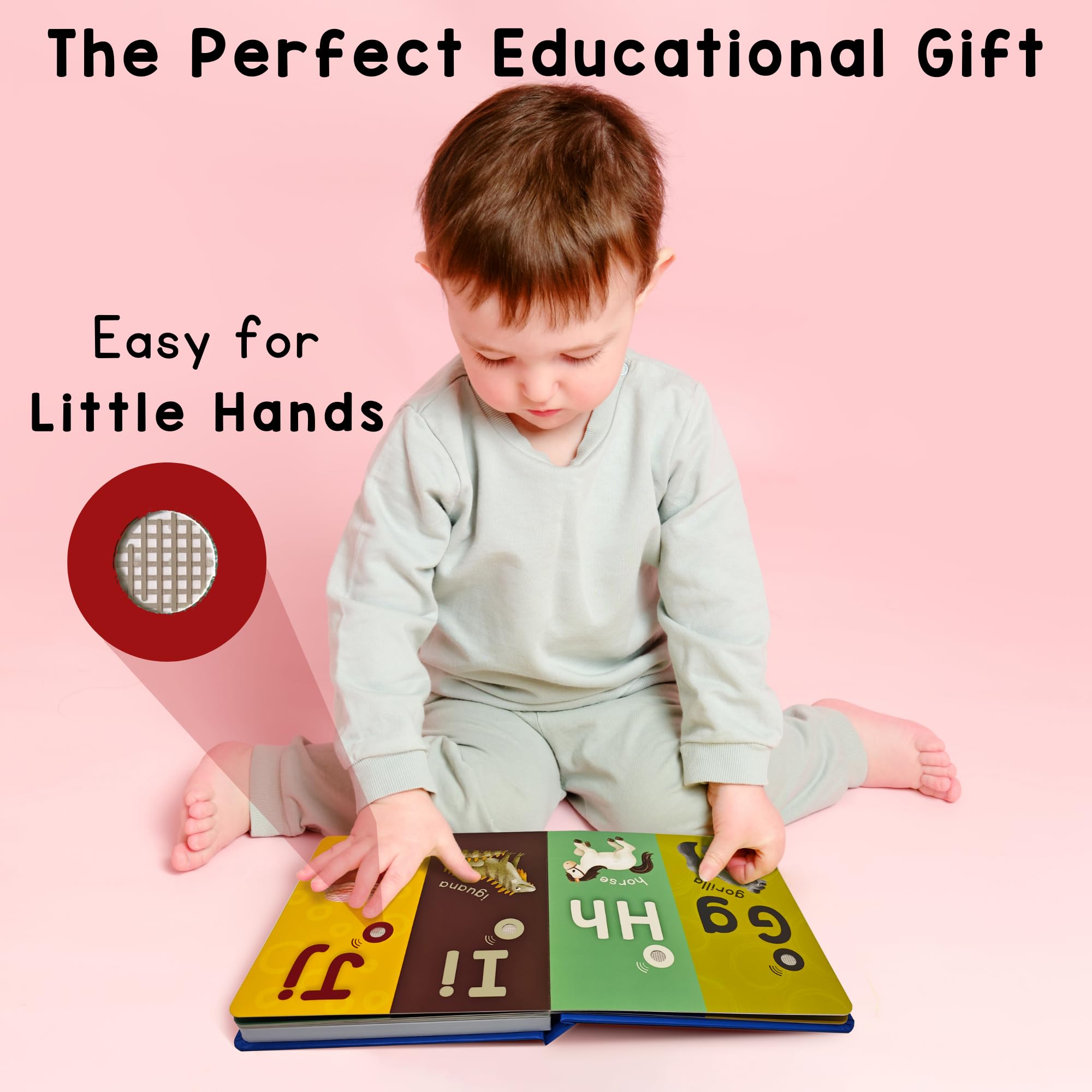Learning Bugs sturdy pages withstand toddler exploration and repeated reading.
