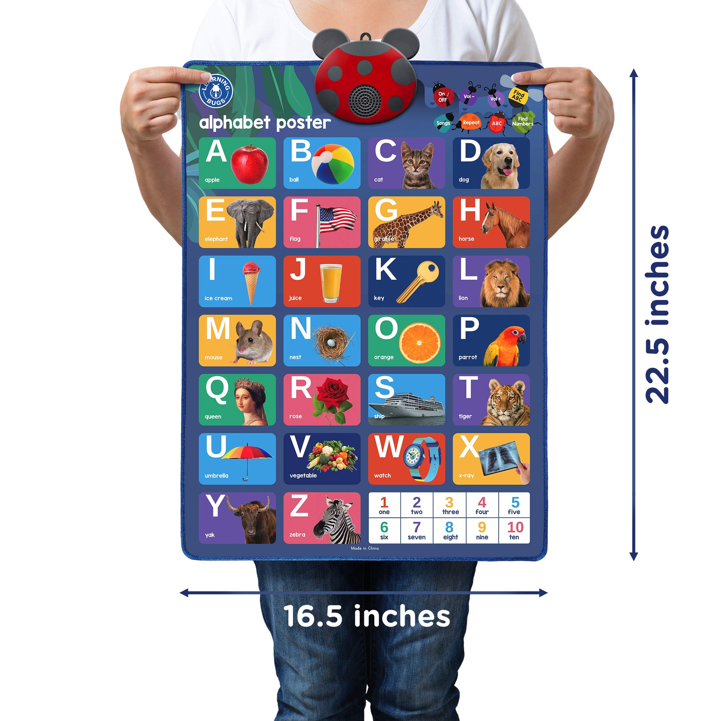 LEARNING BUGS wall-mount design with batteries included for ready use